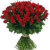 50 Red Roses Arrangement